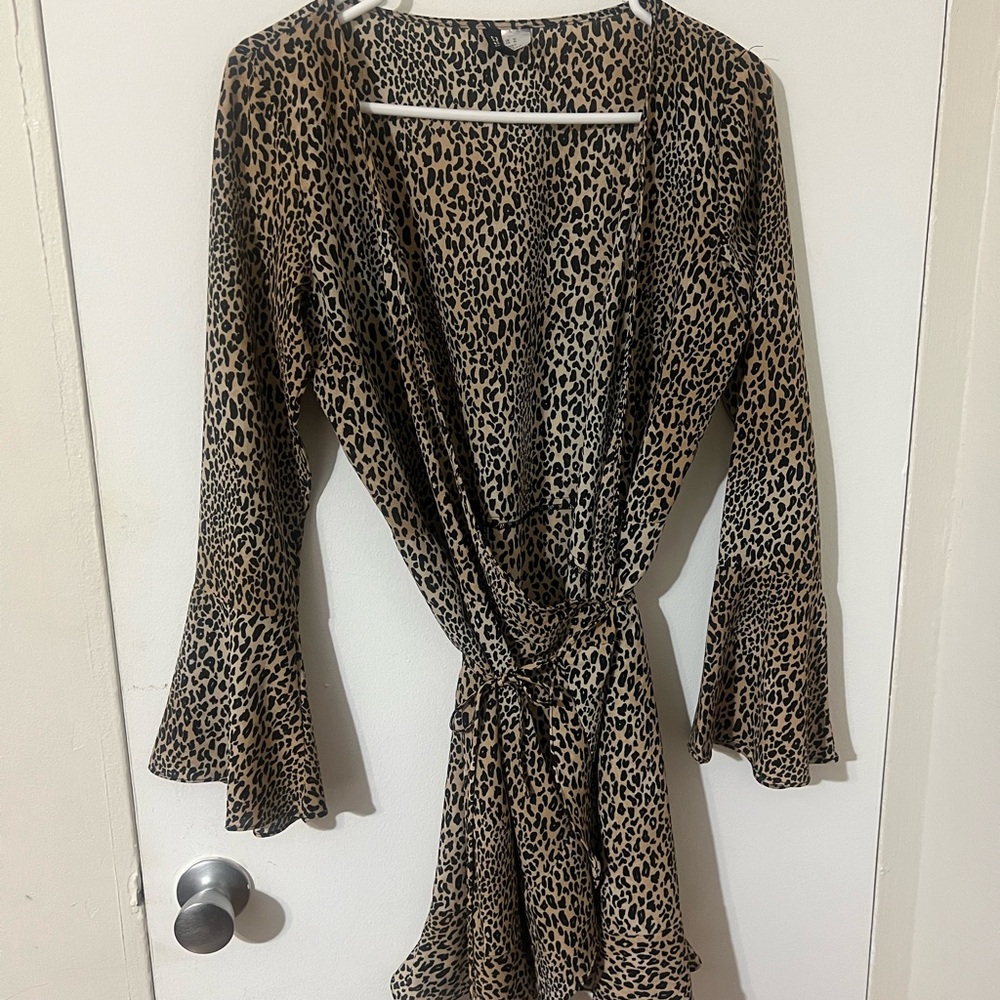H&M Animal Print Long Sleeve Dress